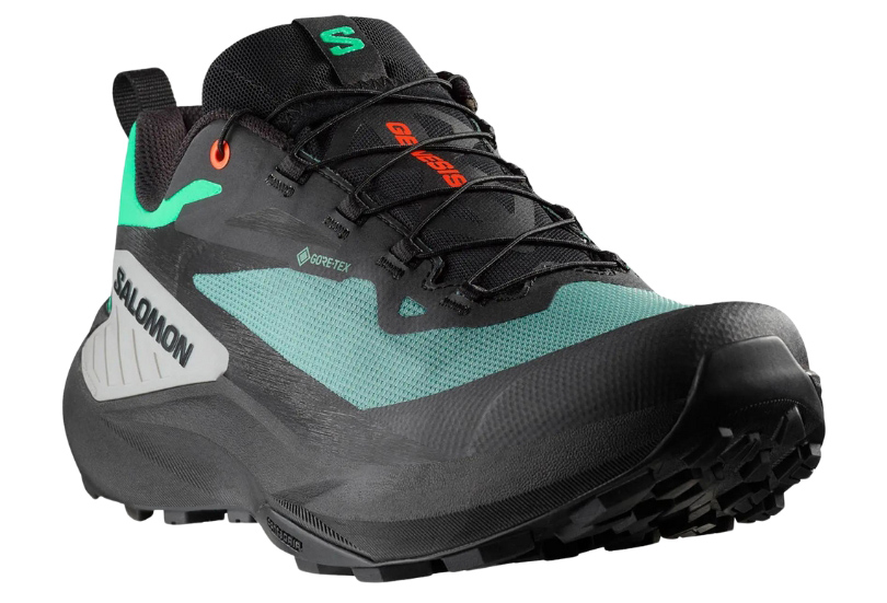 Caractéristiques de la Salomon Genesis Gore-Tex