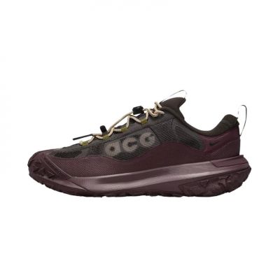 Nike ACG Mountain Fly 2 Low GORE-TEX