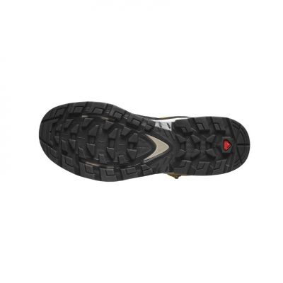 Salomon Quest Element Gore-Tex