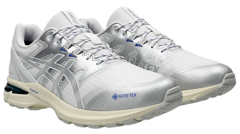 Caratteristiche ASICS Gel-Terrain GTX in evidenza