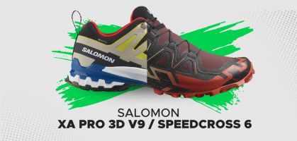 Salomon run 2019 online