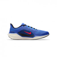 Nike Pegasus 41