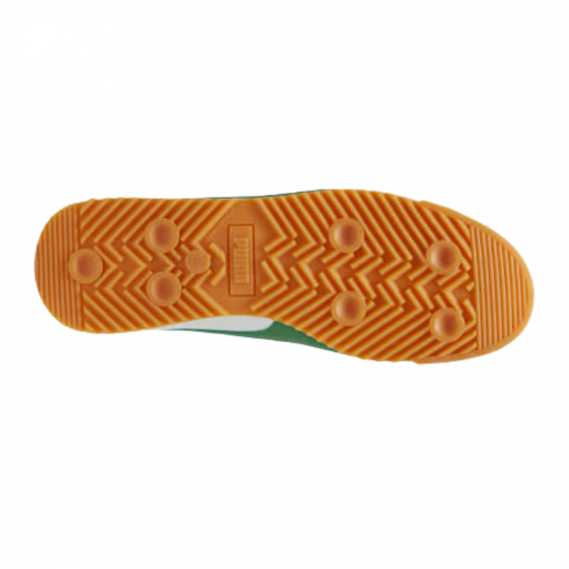 Puma Roma