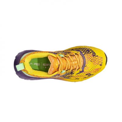 Joma Sima 2024