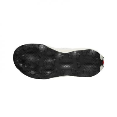 Salomon S/Lab Ultra Dust