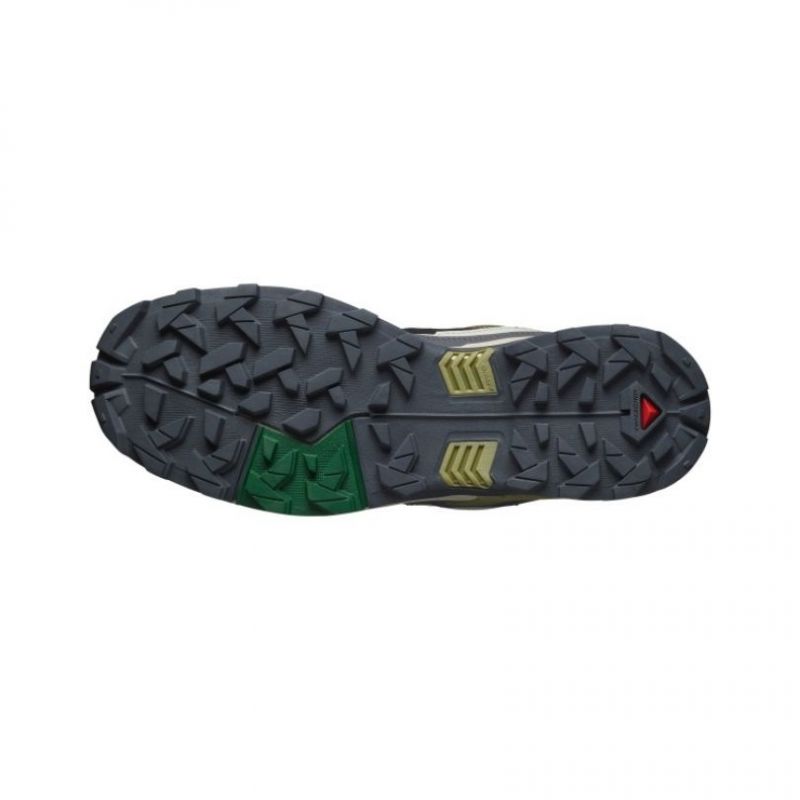 Salomon X Ultra 5