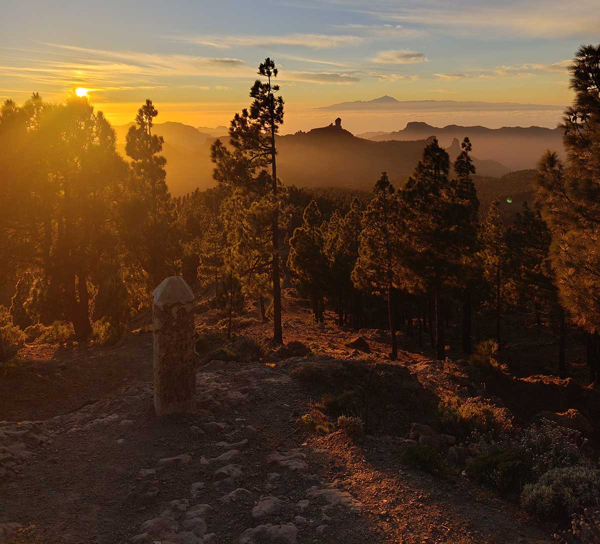 La gran fiesta del trail running