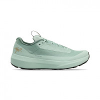 Arc Teryx Norvan LD 4 Gore-Tex