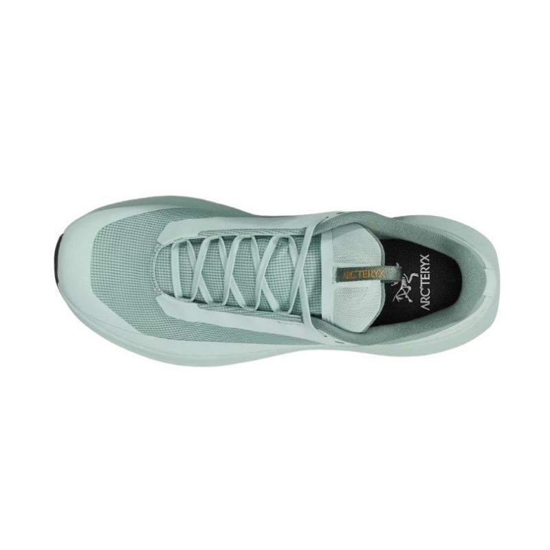 Arc Teryx Norvan LD 4 Gore-Tex