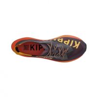 Kiprun KD900X LD2