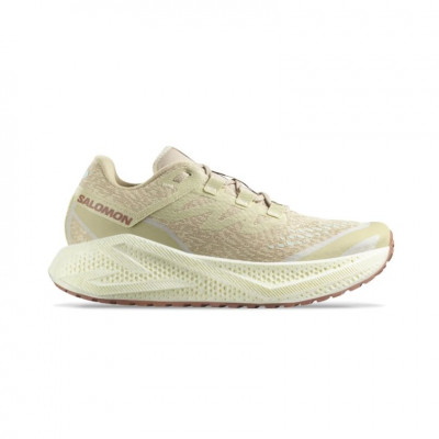  Salomon Aero Glide 3 GRVL