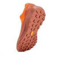 Arc Teryx Norvan LD 4