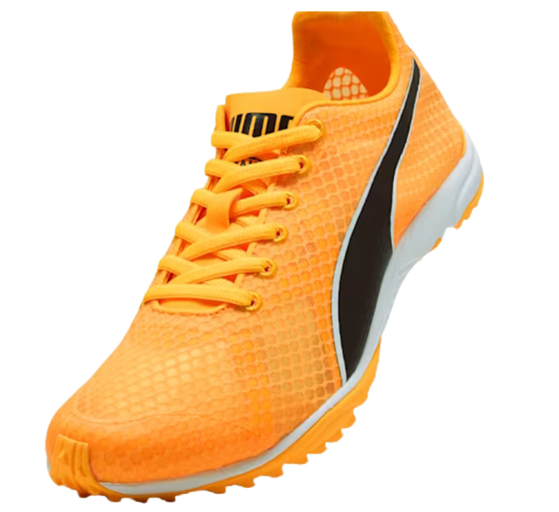 Caratteristiche principali e innovazioni della PUMA evoSPEED Haraka 8