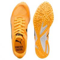 Puma evoSPEED Haraka 8