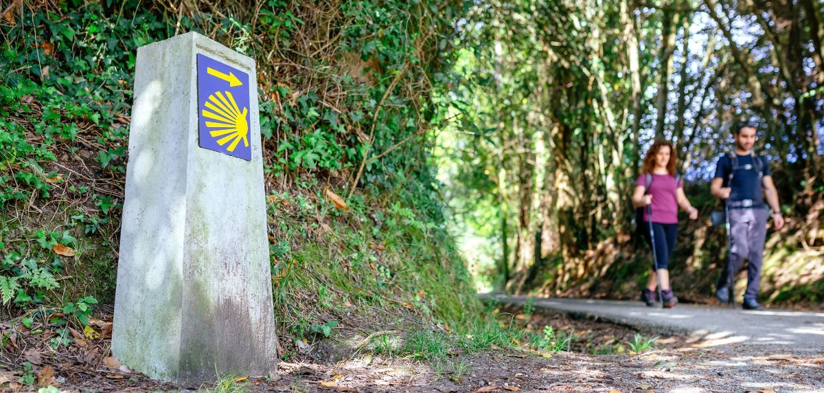 Die besten Trekkingschuhe für den Jakobsweg