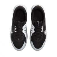 Nike Sonic Fly