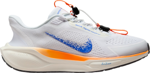 Zapatillas de running Nike Pegasus EasyOn Blueprint