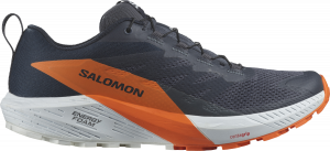 Zapatillas para trail salomon top SENSE RIDE 5 GTX