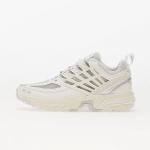 Zapatillas Salomon ACS Pro Ice/ Lunar Rock EUR 46