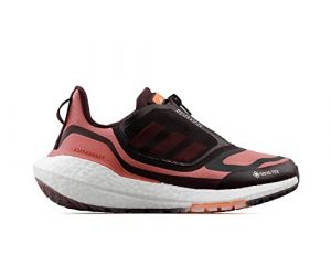 adidas Ultraboost 22 GTX W