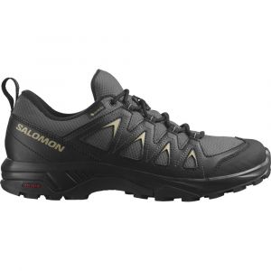 Salomon Zapatillas De Senderismo X Braze Goretex