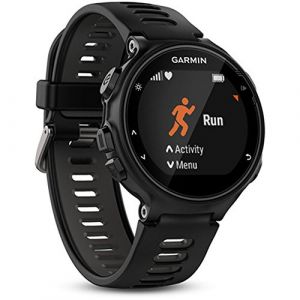 Garmin Forerunner 735 x t