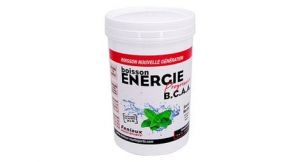 Fenioux bebida energetica progresiva b c a a   menta   600 g