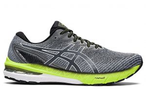 ASICS Gt - 2000 10 Carrier Grey / White Hombre 