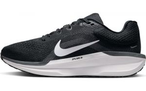 Nike Mujer Air Winflo 11