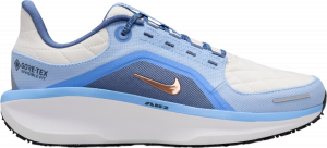 Zapatillas de running Nike Winflo 11 GORE-TEX