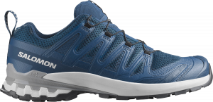 Zapatillas para trail Salomon XA PRO 3D V9