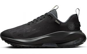 Nike Infinityrn 4 Gore-Tex Wasserdichter Straßenlaufschuh (Damen)