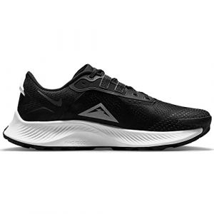 Nike Pegasus Trail 3