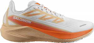 Zapatillas de running Salomon AERO BLAZE 2 W