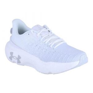 Zapatillas de running Mujer Under Armour Infinite Elite Gris