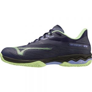 Mizuno Wave Exceed Light 2 All Court Shoes Azul Hombre